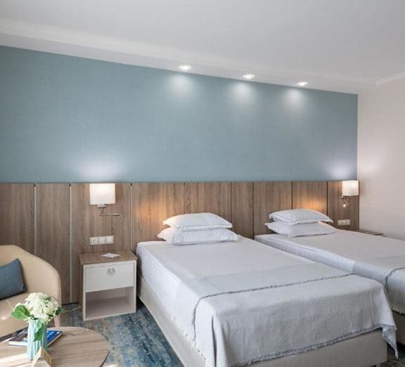 Twin Standard Room (Balcony) Номера