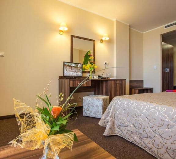 TWIN STANDARD ROOM (BALCONY) Номера