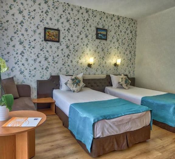 Standard Room (Balcony or Terrace, Economy) Номера