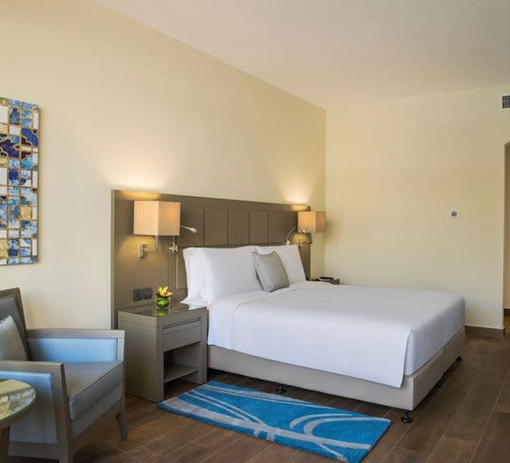 POOL VIEW ROOM KING OR TWIN Номера
