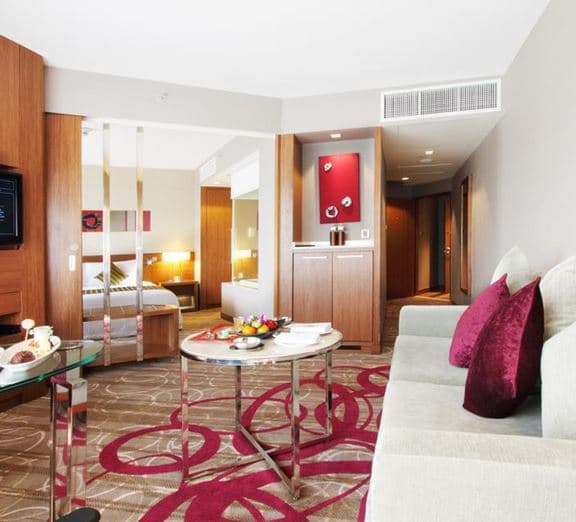 PREMIUM DELUXE SUITE CLUB Номера