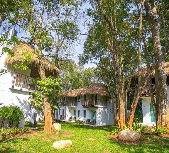 Tropical Garden Номера