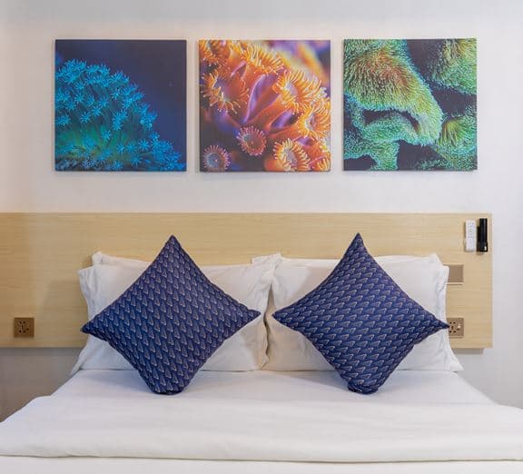 Deluxe Double Room Номера