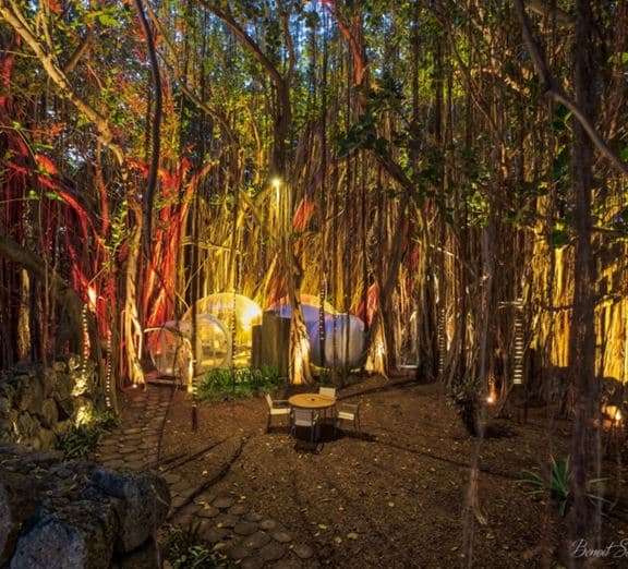 Banyan Tree Bubble Номера