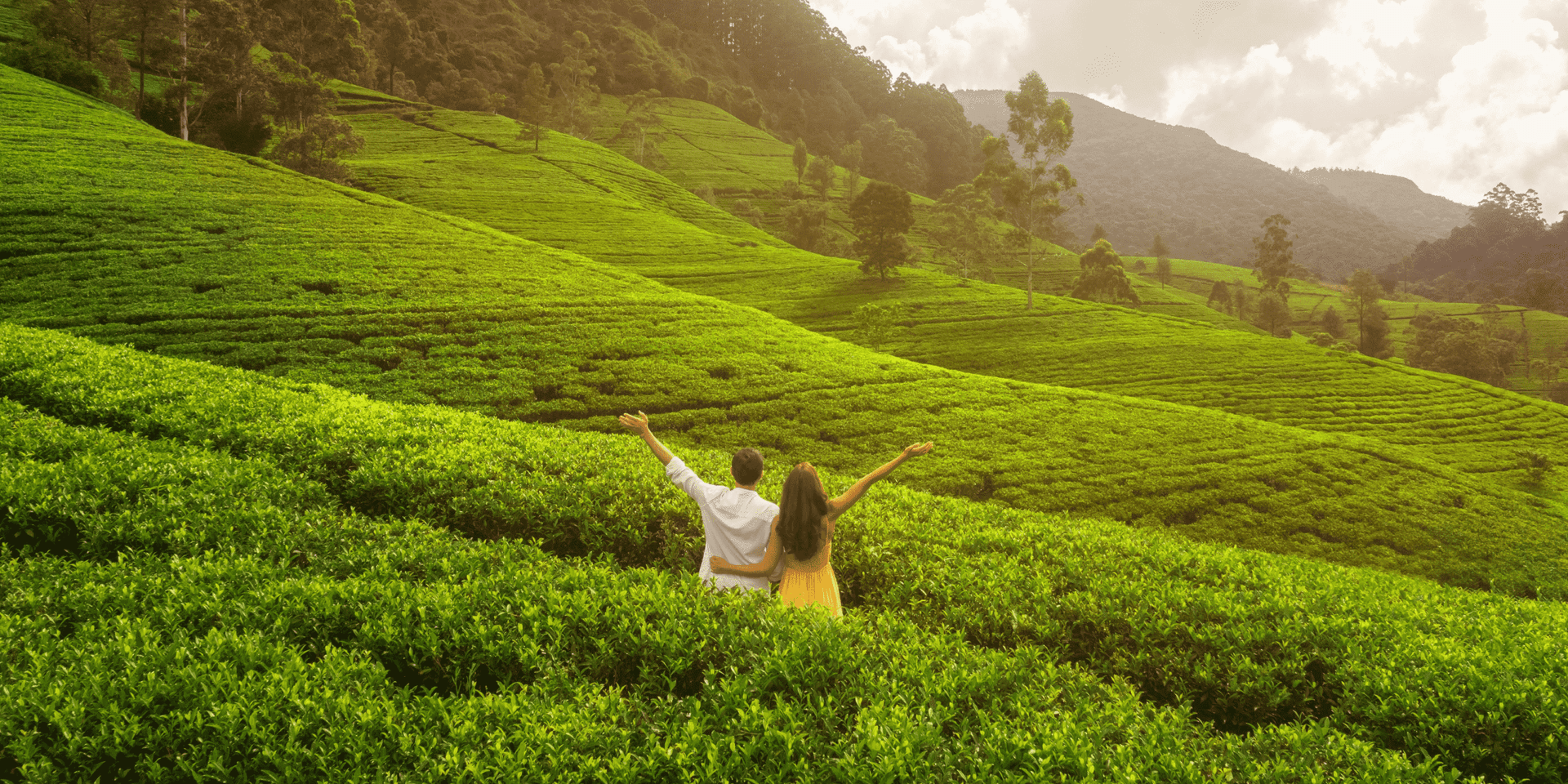 Шри-Ланка ввела безвиз для россиян