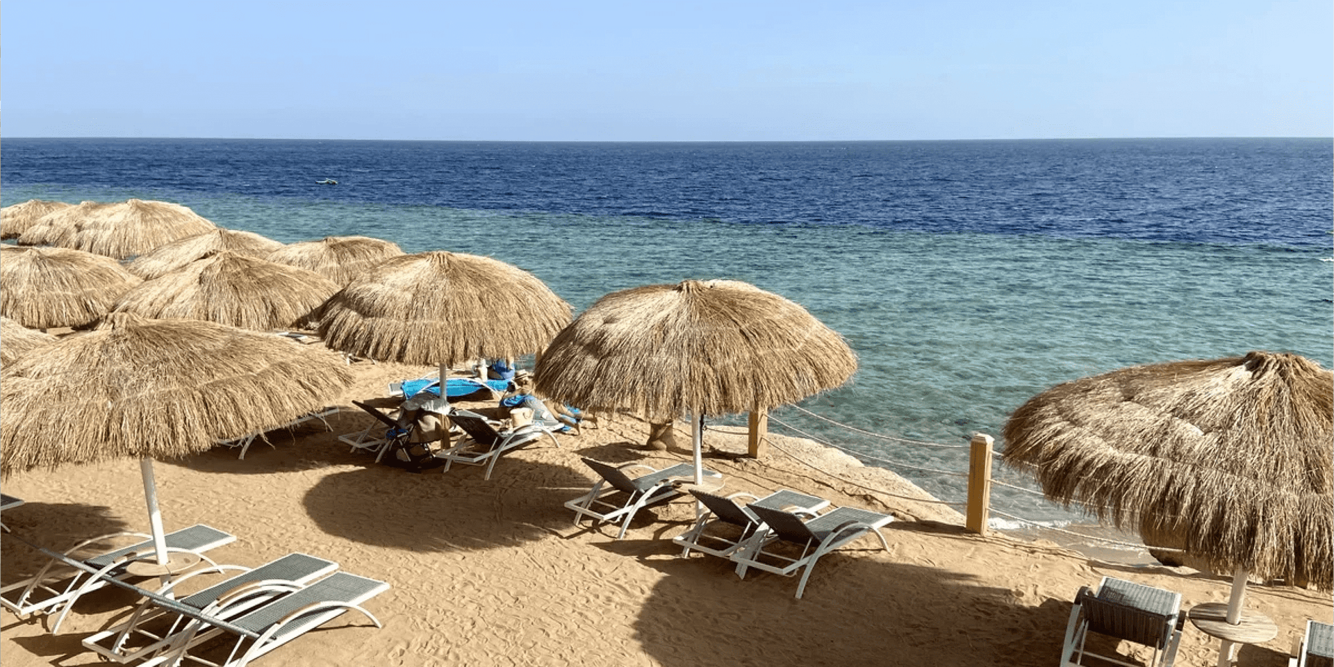 Из Калининграда в Египет полетят чартеры Coral Travel