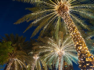 Спрос на новогодние туры вырос вдвое