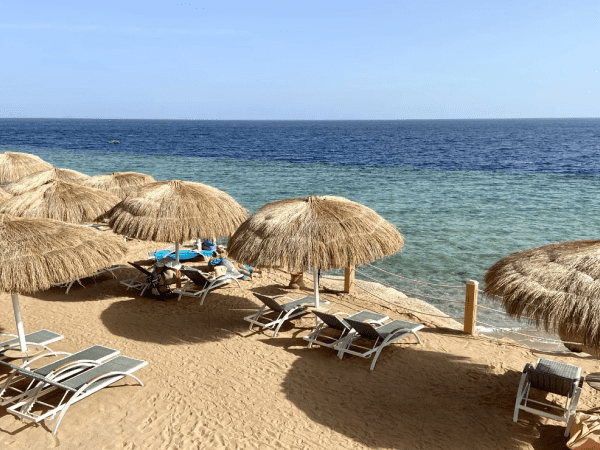 Из Калининграда в Египет полетят чартеры Coral Travel