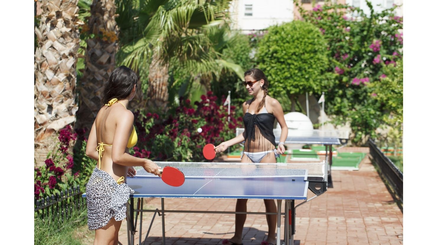 sport-sport