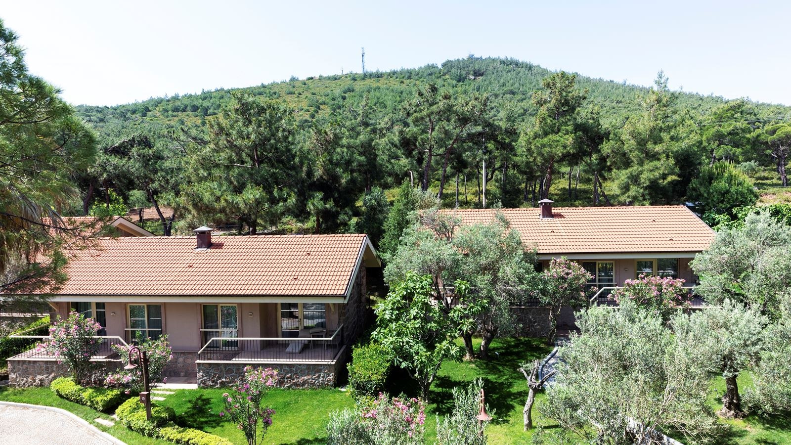 rooms-superior-forest-view-room