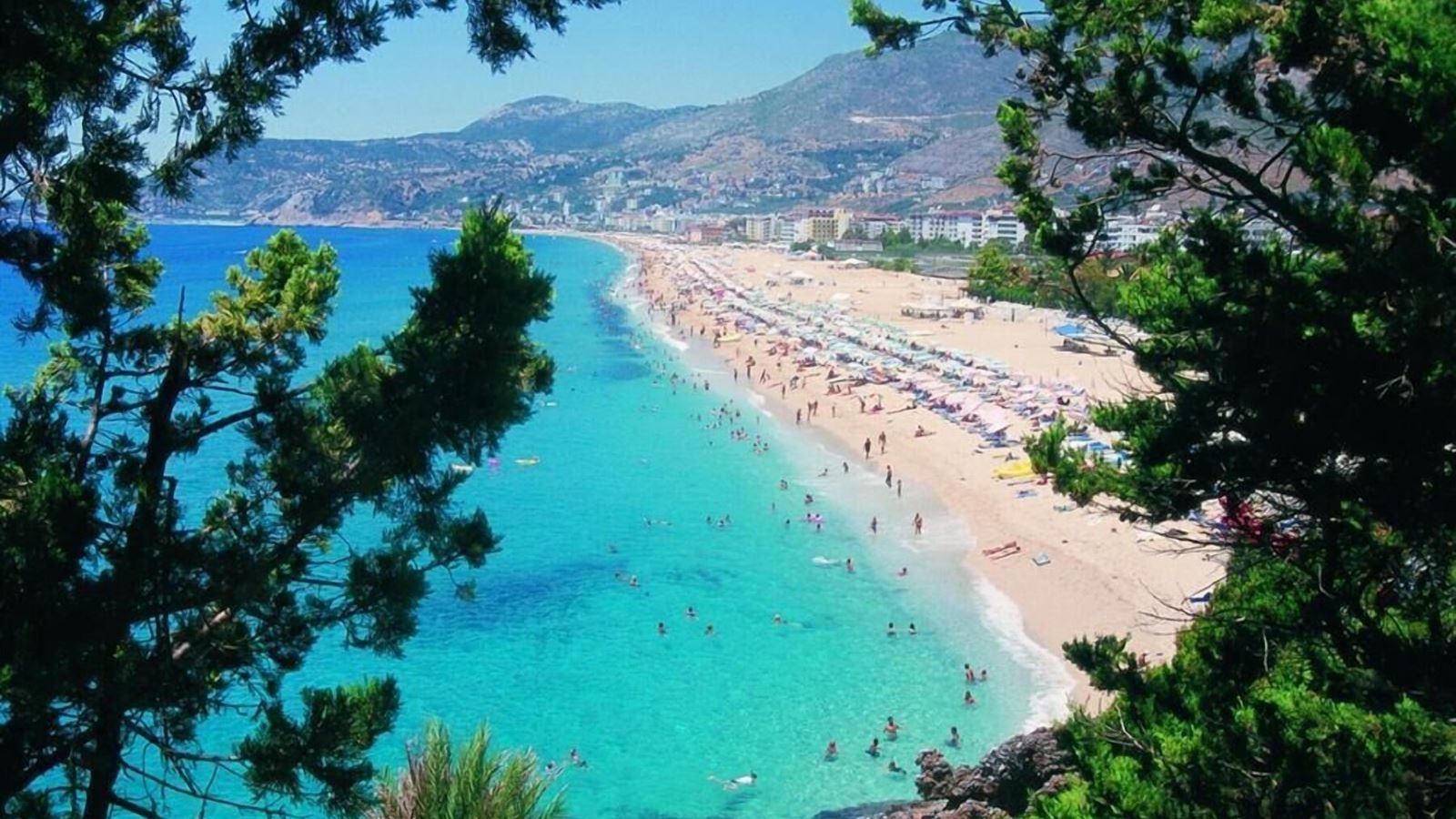 beach-beach