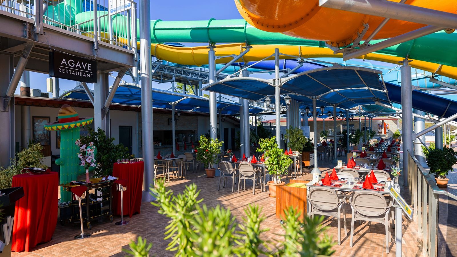 restaurants-agave-restaurant