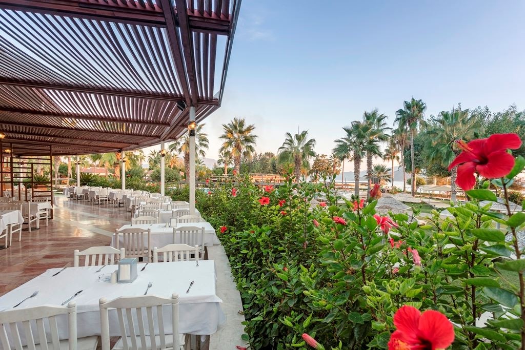 restaurants-veranda-restaurant