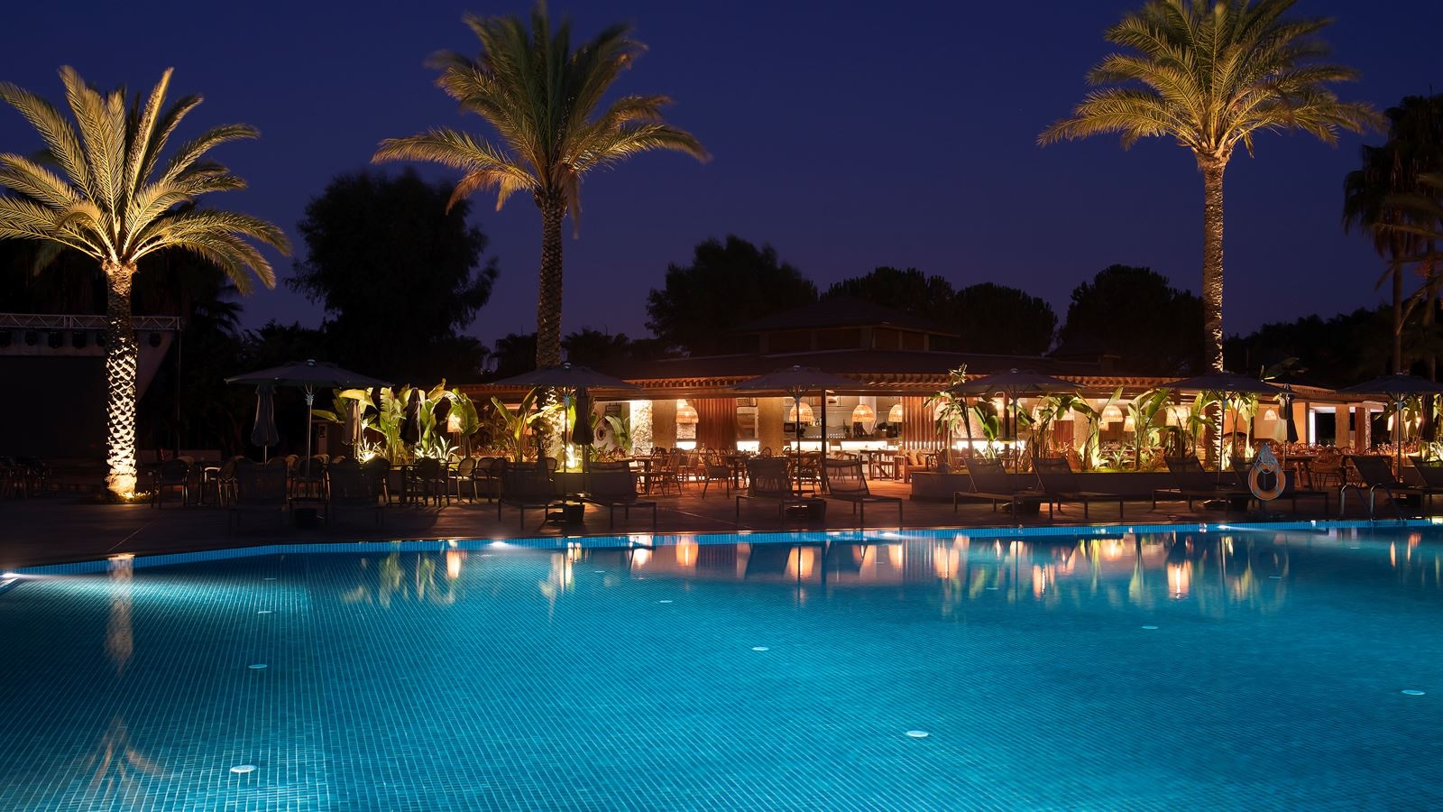 bars-disco-del-mare-bar