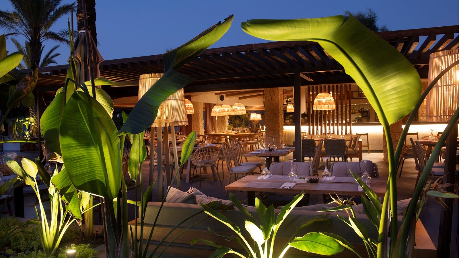 bars-disco-del-mare-bar