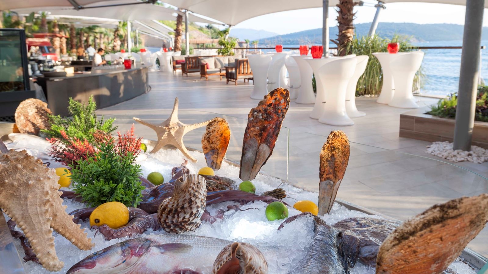 restaurants-bodrum-blue-sea-food-restaurant