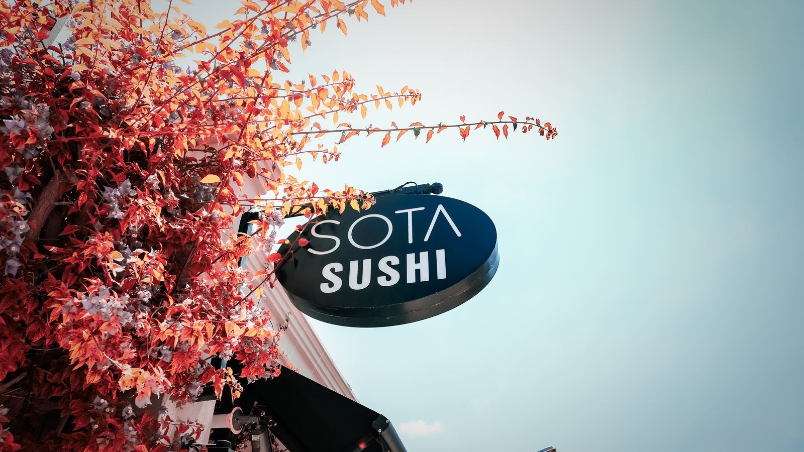 restaurants-sota-alacati