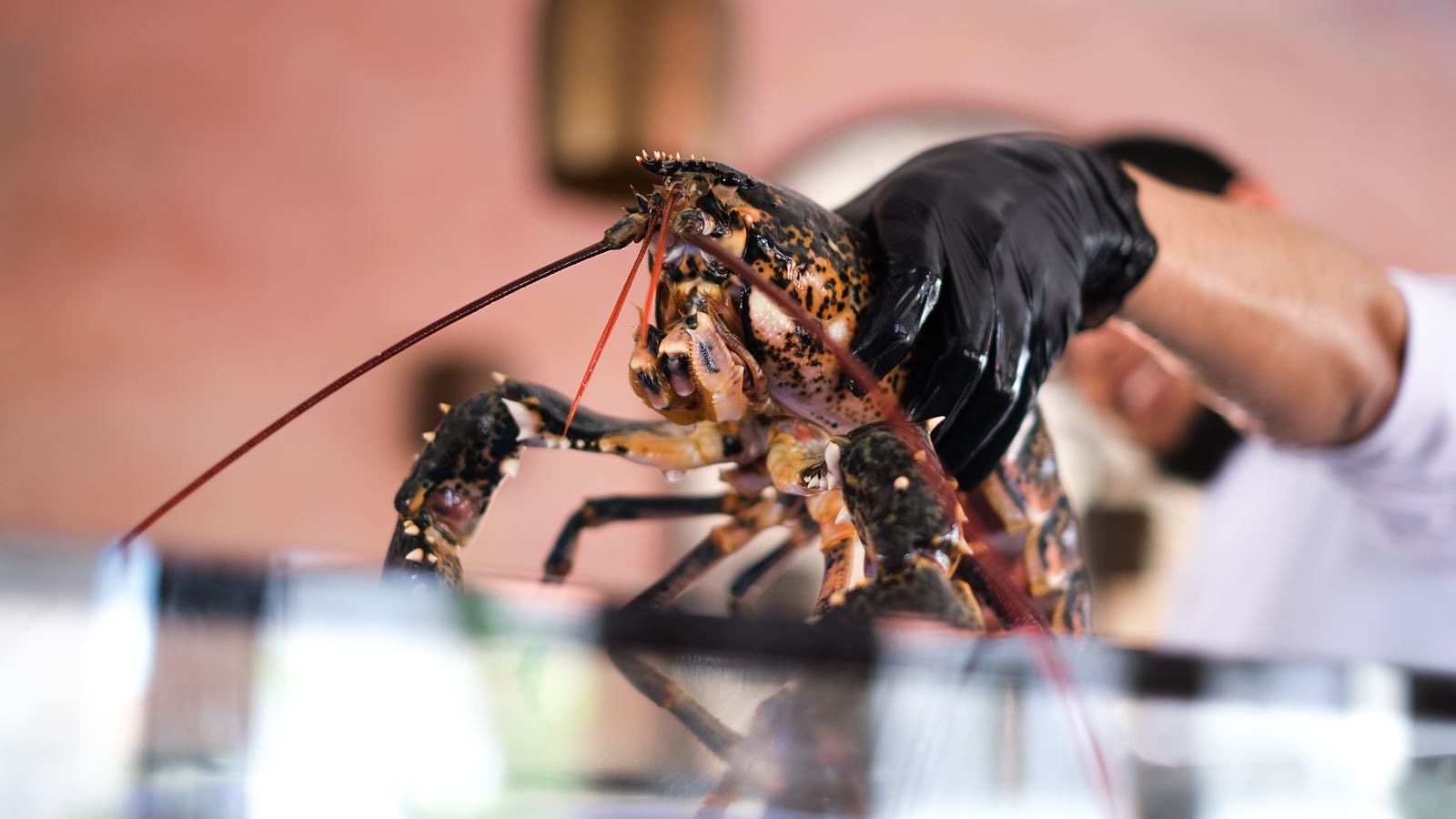 restaurants-sota-alacati