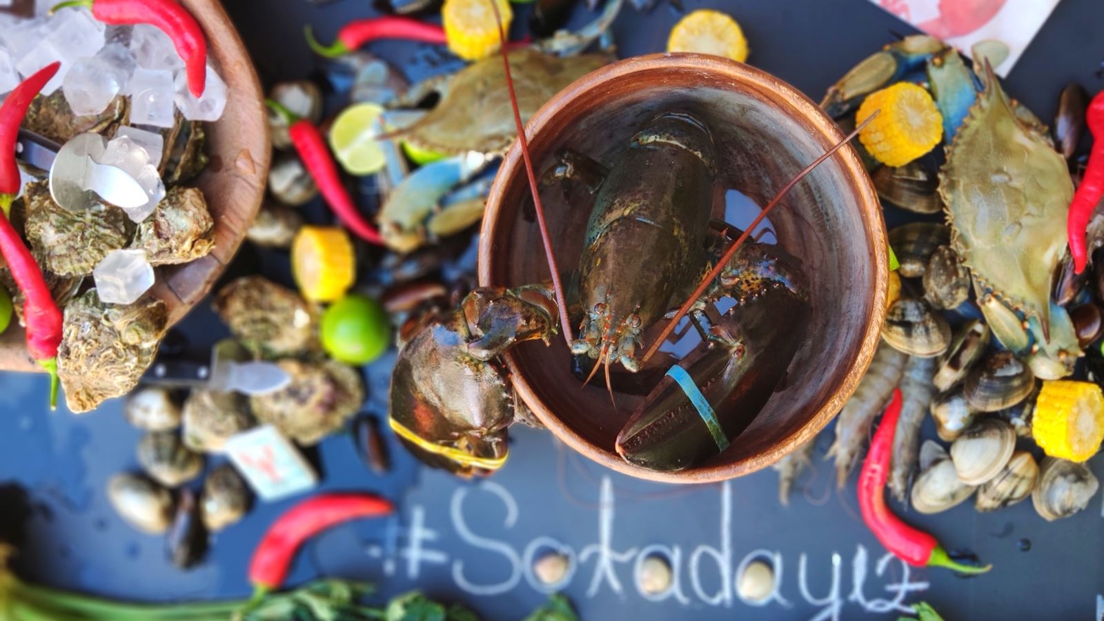 restaurants-sota-alacati