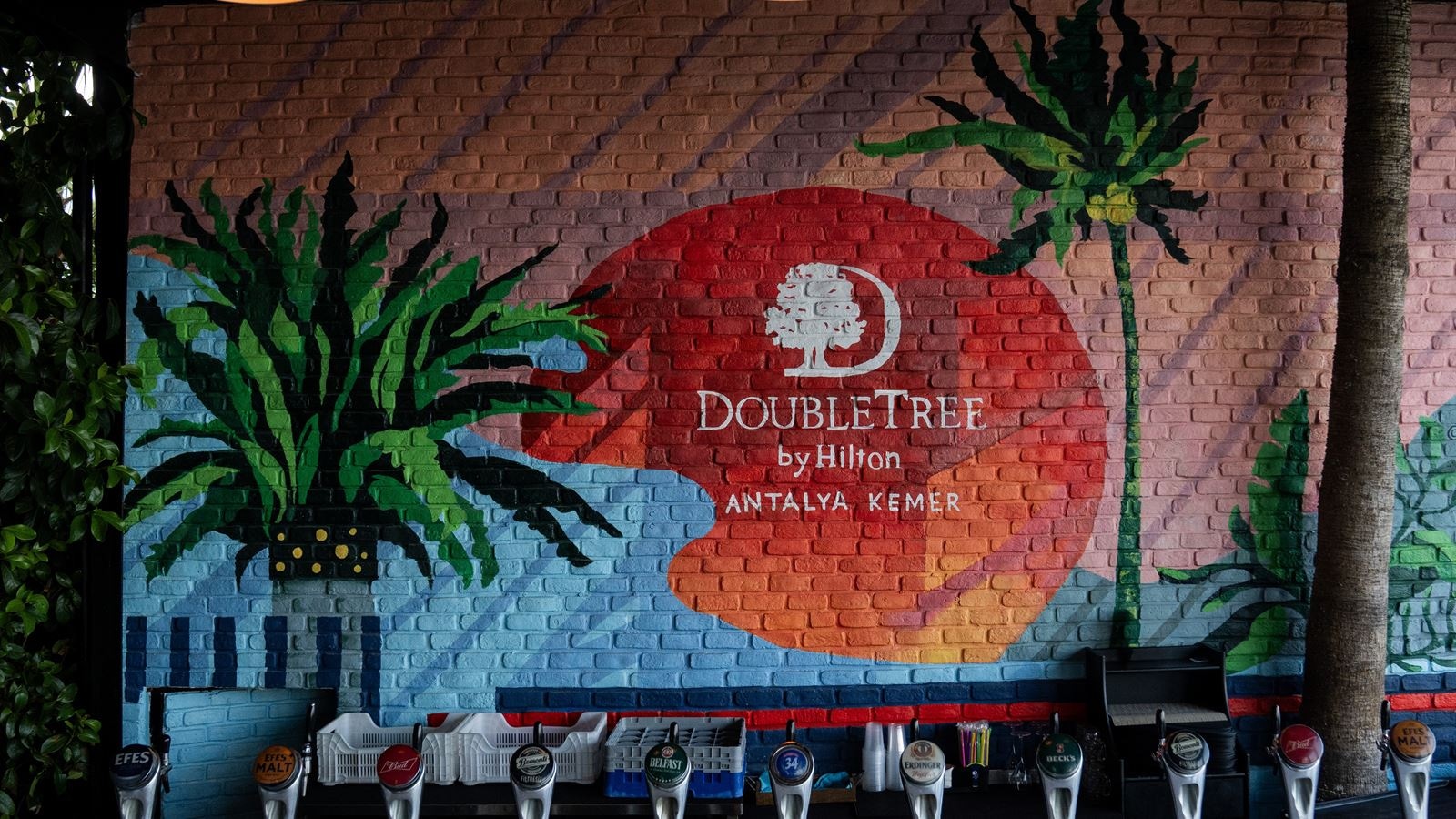 bars-the-beer-garden