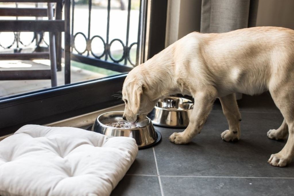 rooms-seaview-room-balcony-or-terrace