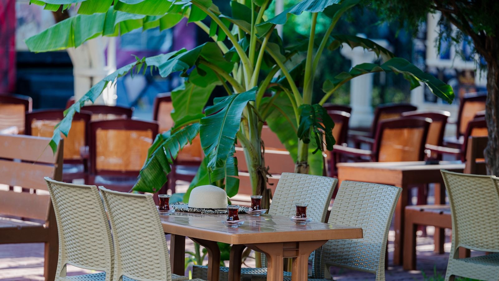 restaurants-snack-bar