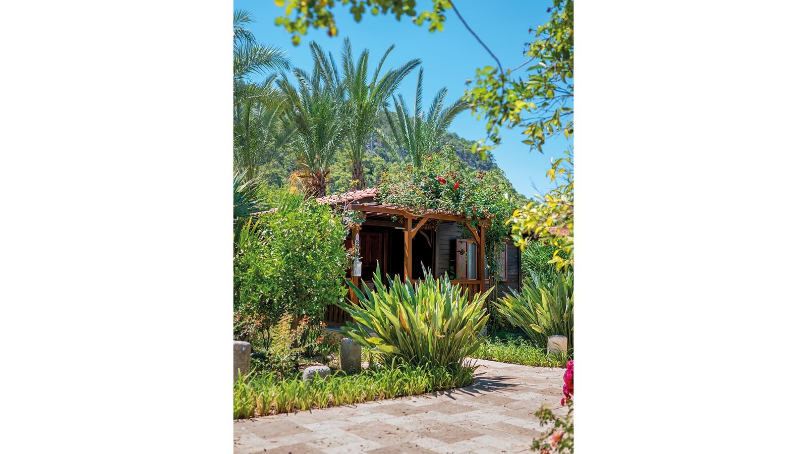 rooms-wooden-bungalow-studio