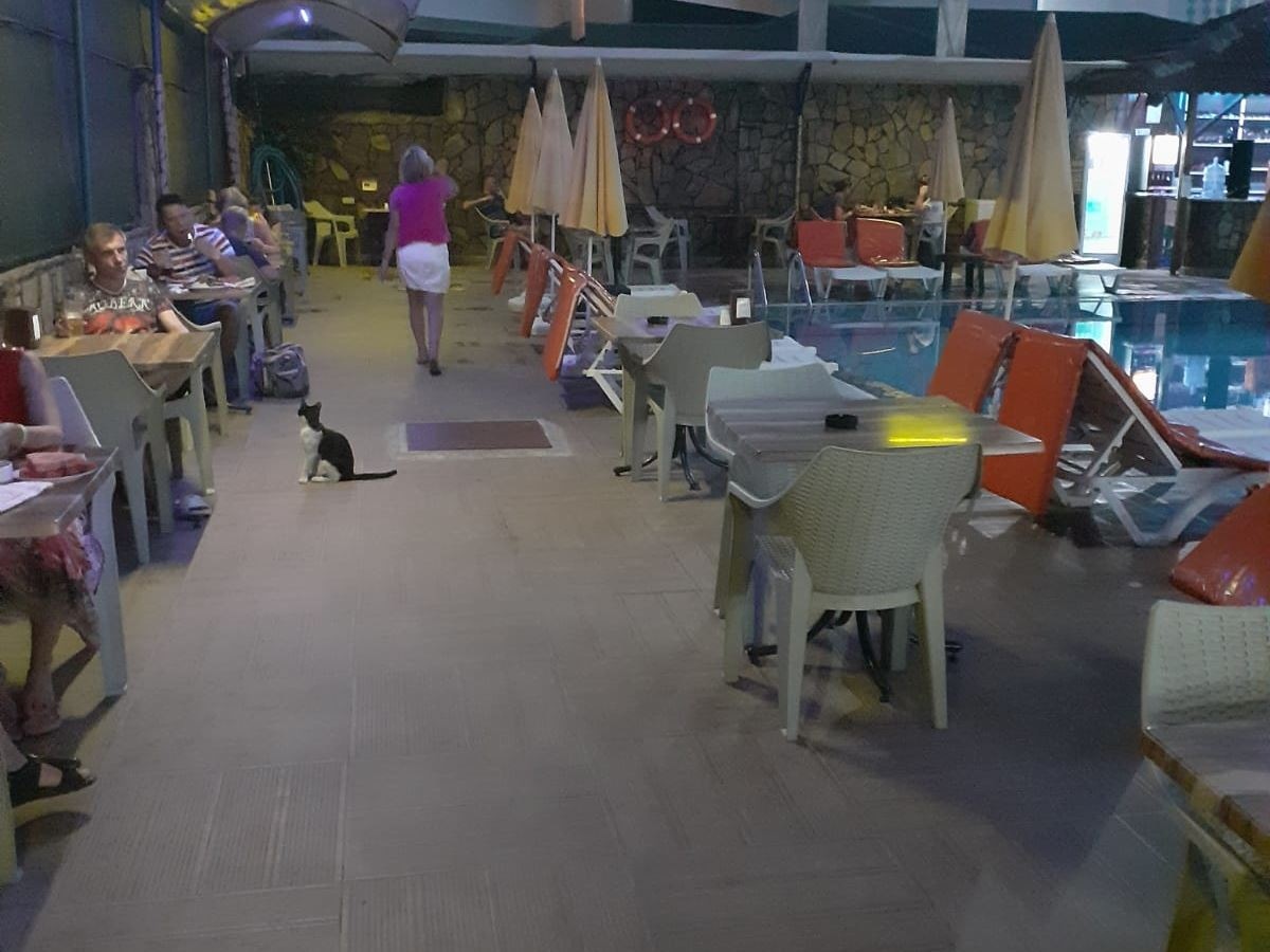 restaurants-pool-bar