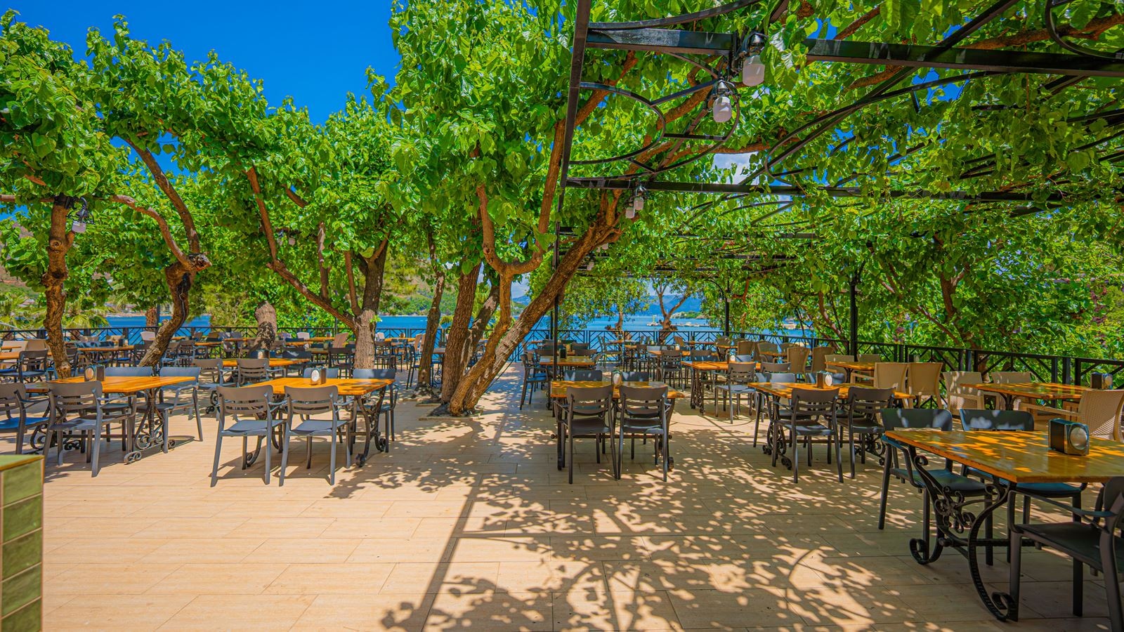 restaurants-main-restoran