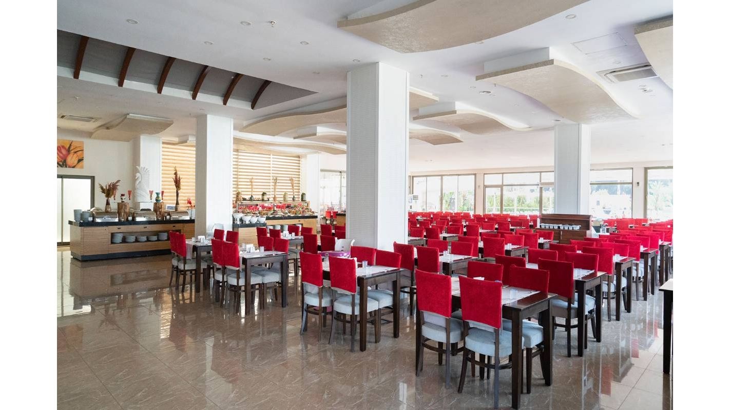 restaurants-olive-restaurant