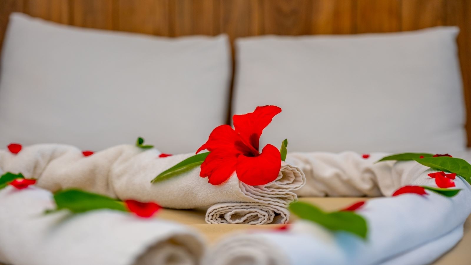 rooms-luxury-beach-suite