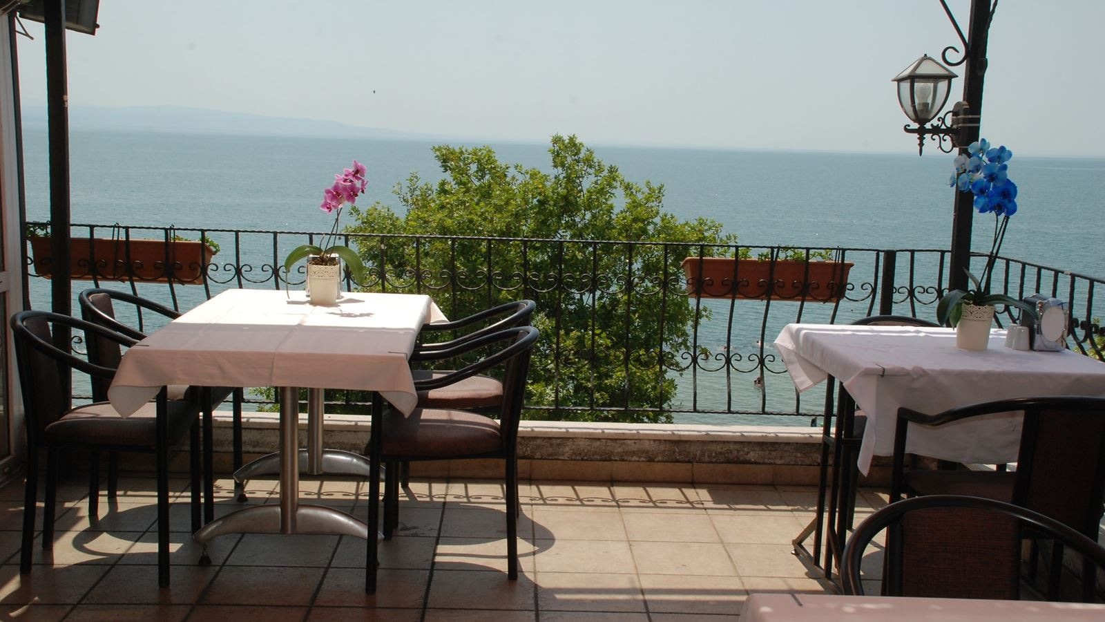 restaurants-ana-bina