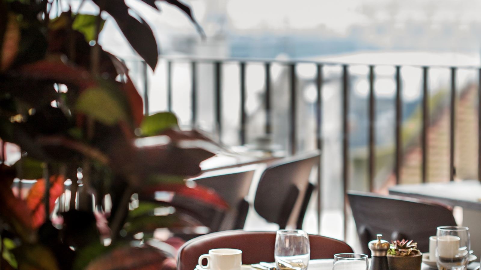 restaurants-restaurants