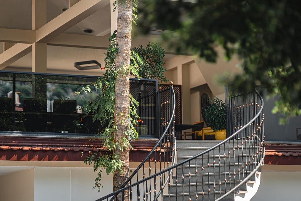 restaurants-podalia-restaurant