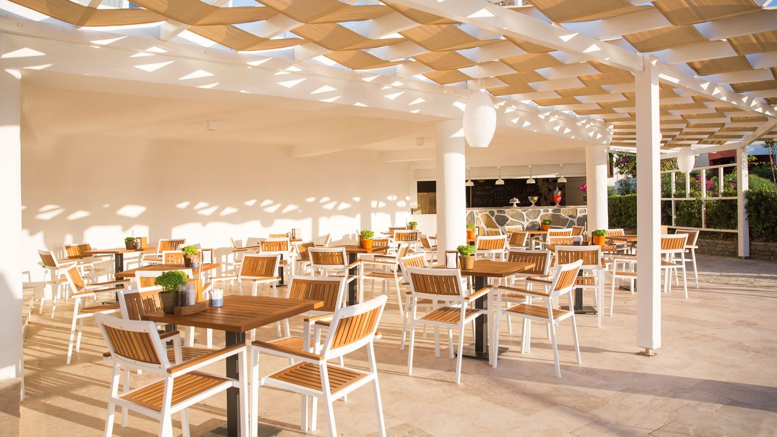 restaurants-snack-bar--restaurant