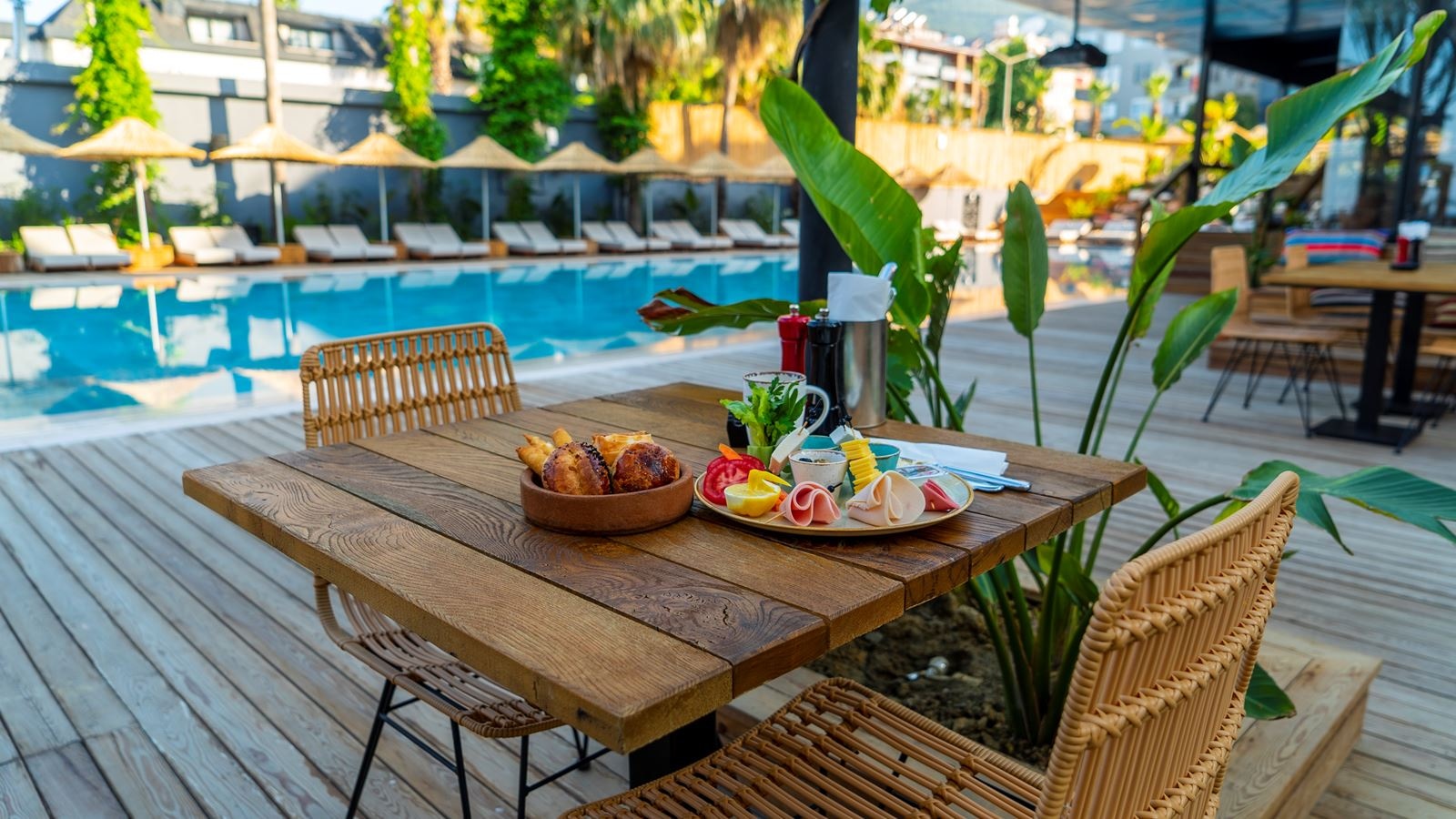 restaurants-cantina-restaurant