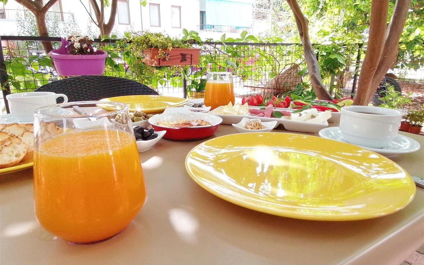 restaurants-restaurants