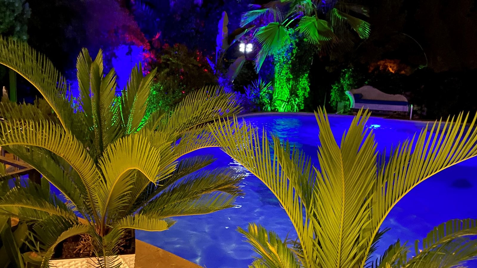 restaurants-212-steak-house-restaurant