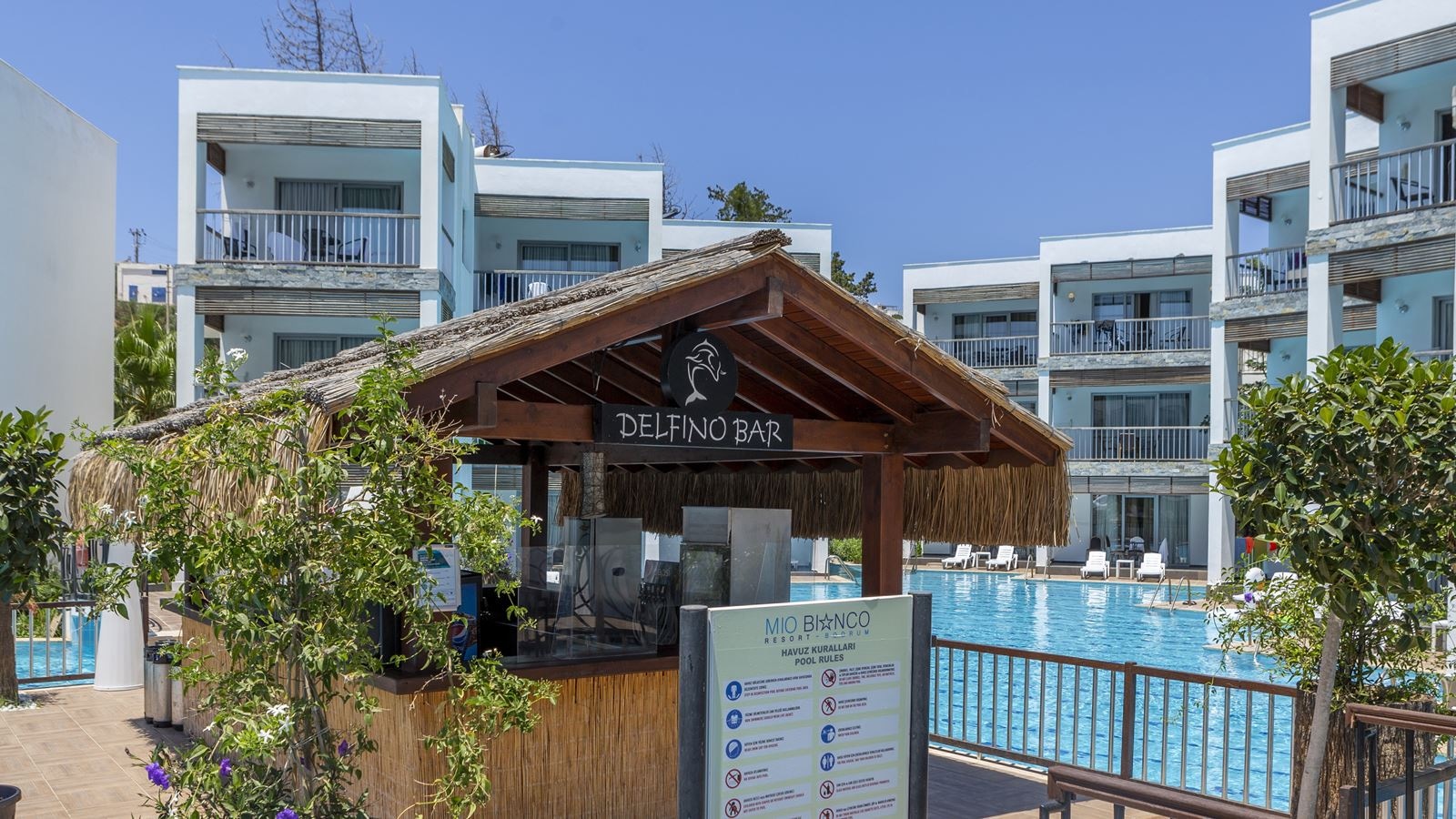 bars-delfino-bar-pool-bar