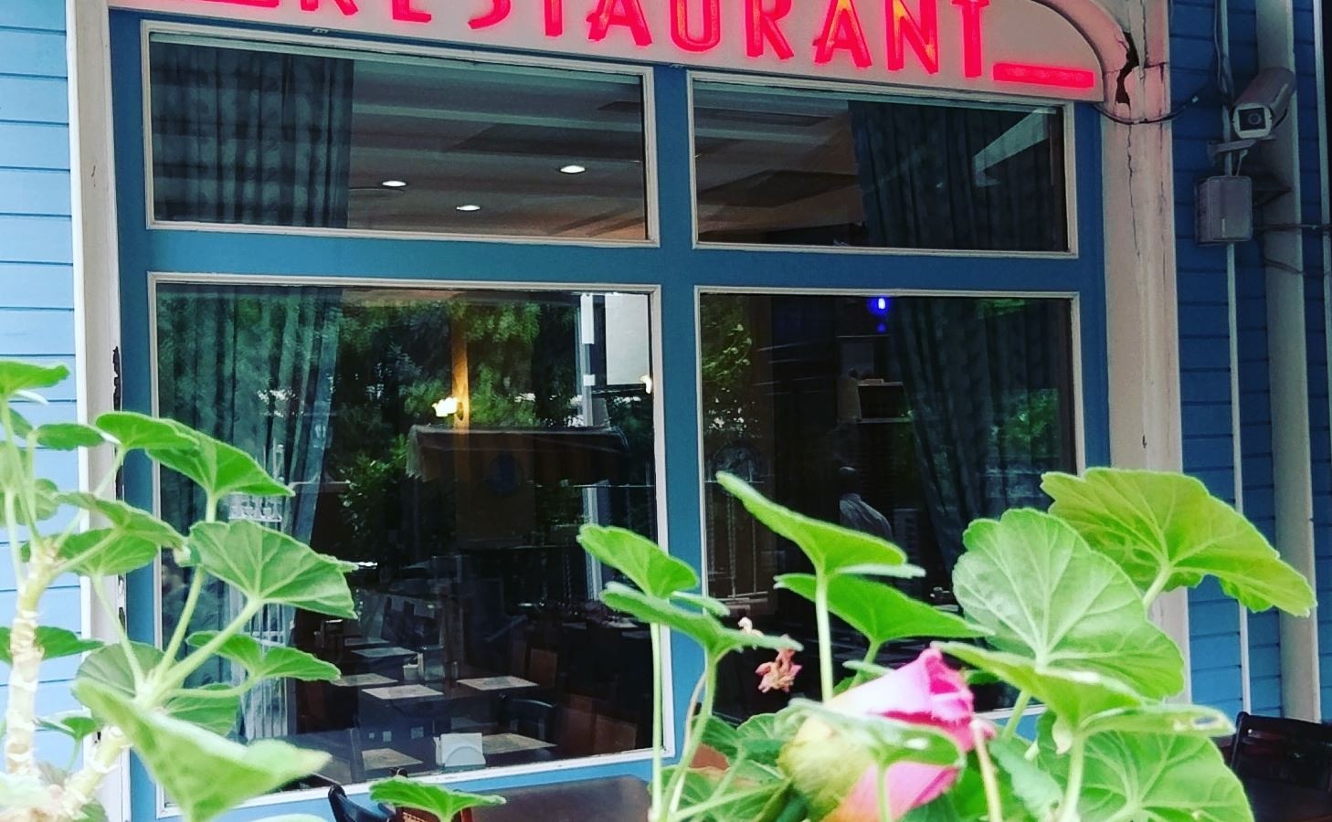 restaurants-restaurants