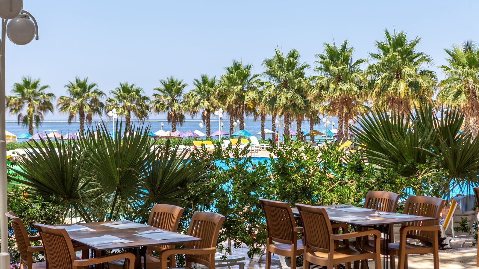 restaurants-ana-restorant