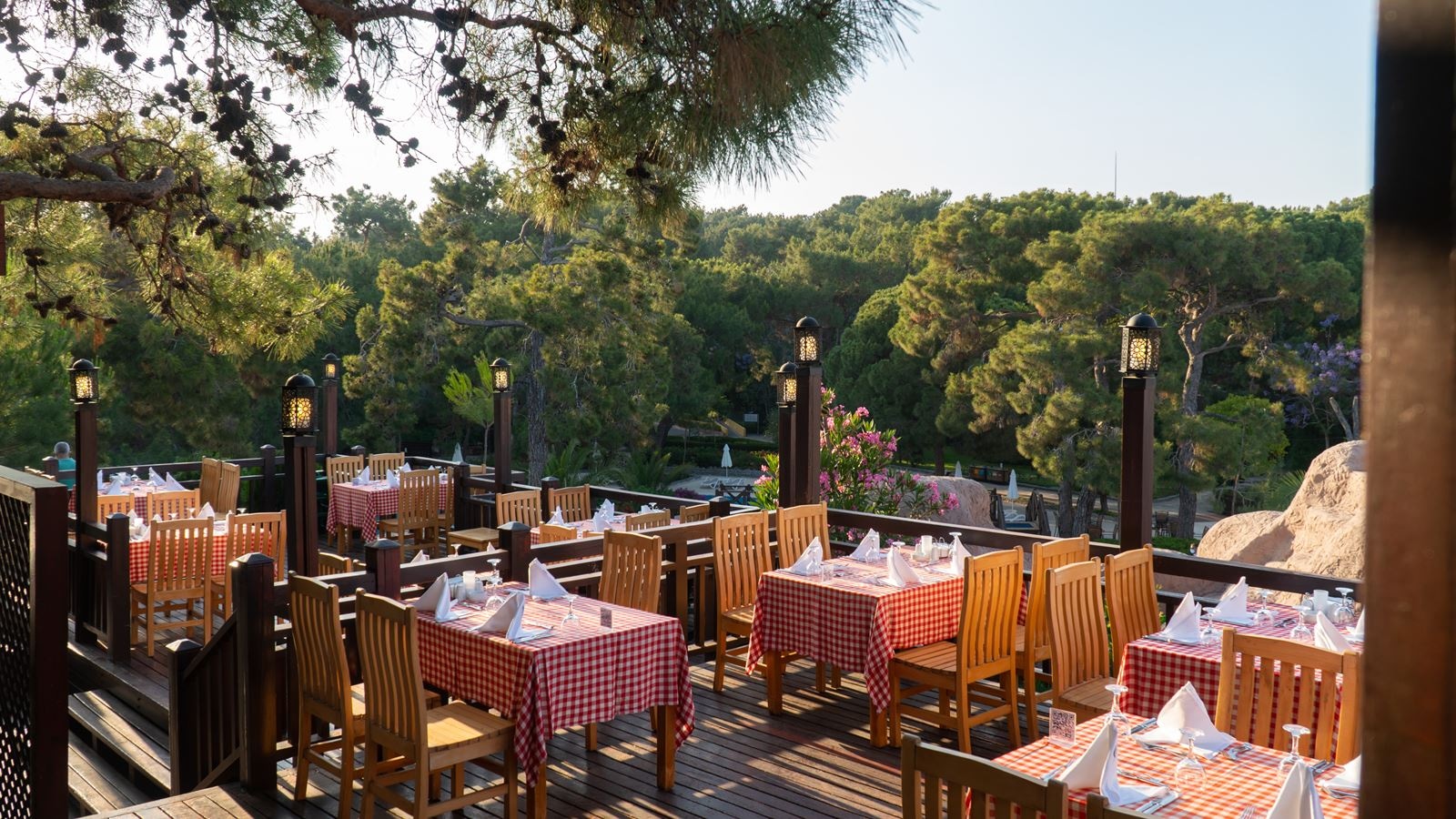 restaurants-austrian-special-restaurant