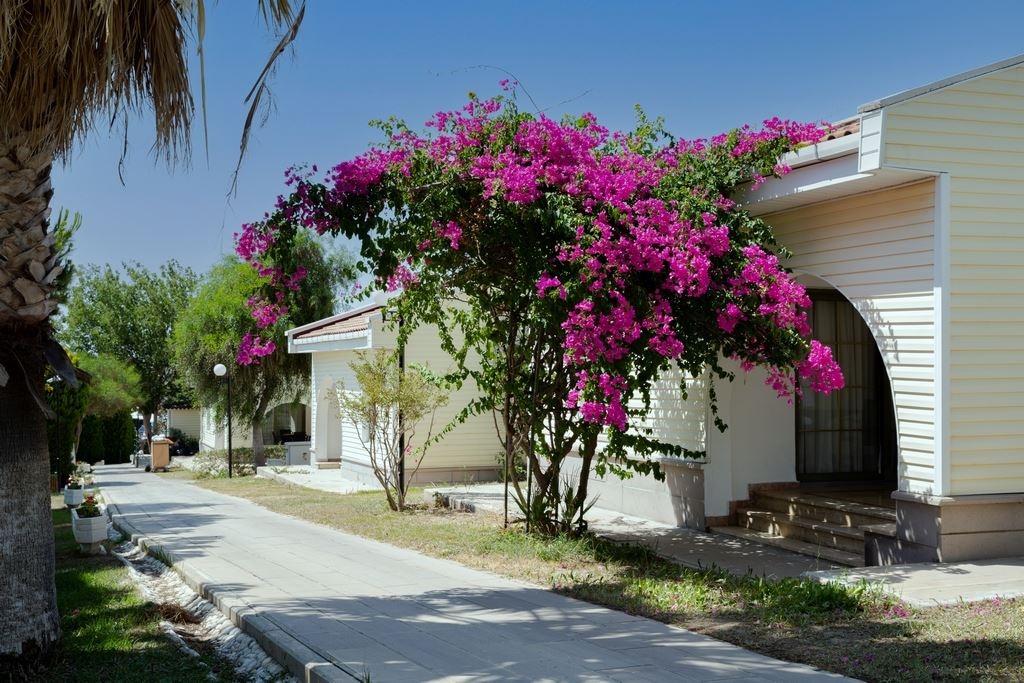 rooms-club-family-room