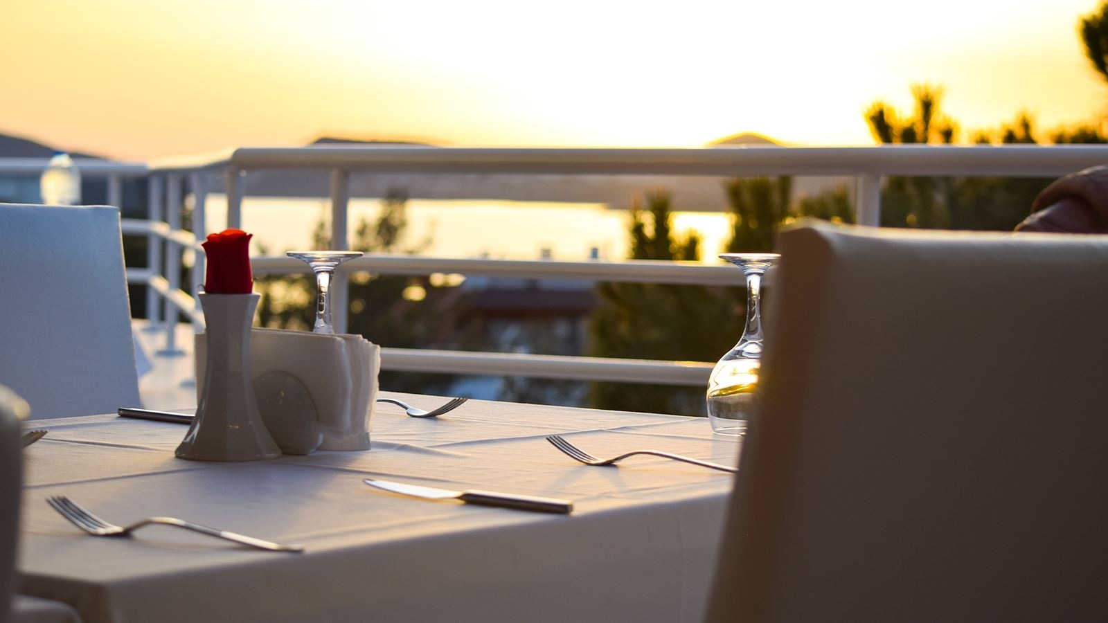 restaurants-main-restaurant