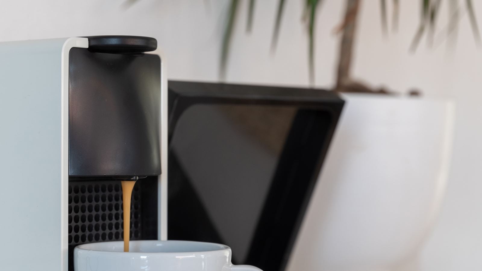 rooms-standart-bohem