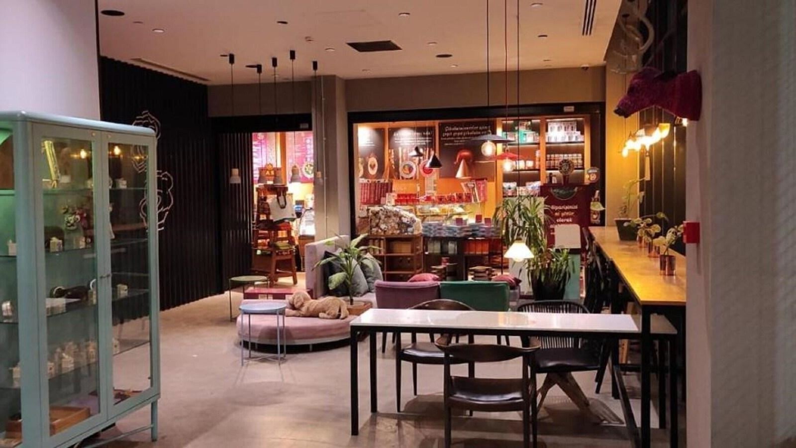 restaurants-restaurants