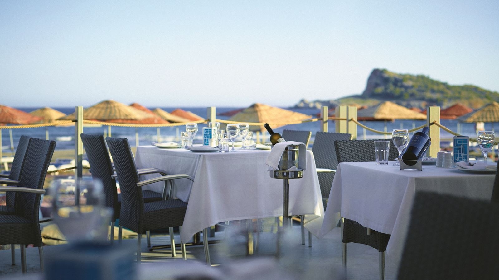 restaurants-purple-turtle-beach-restaurantbar