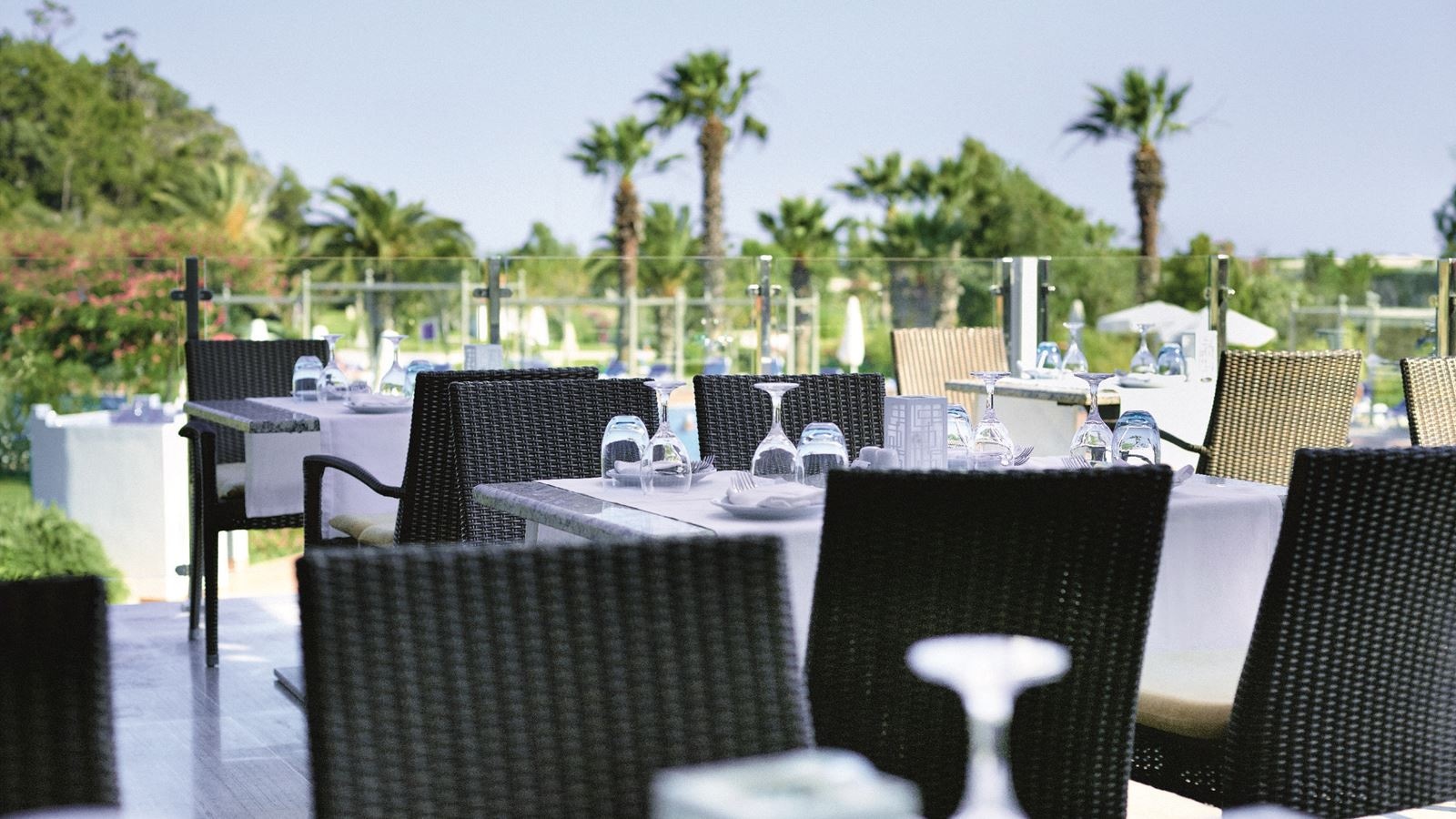 restaurants-the-restaurant