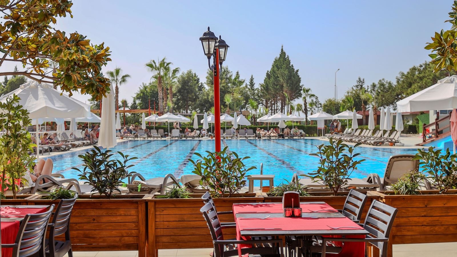 restaurants-acacia-restaurant