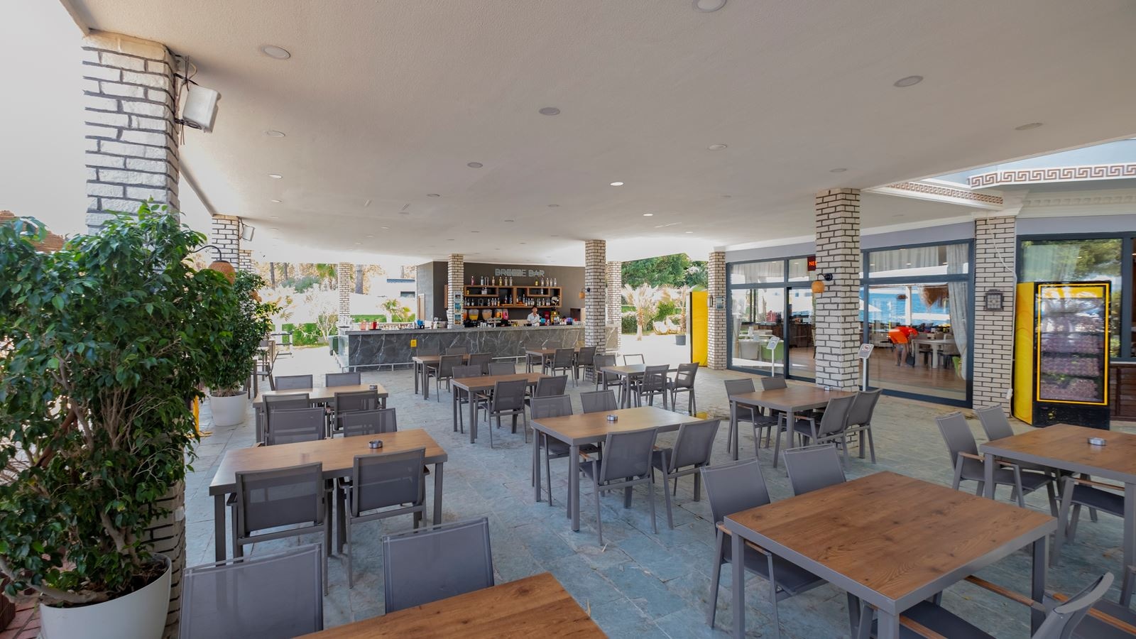 bars-breeze-bar--beach-bar-